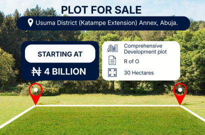 30 Hectares of Land for sale in Usuma District, Katampe Extension